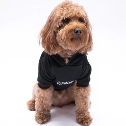 RIPNDIP Lord Nermal Pet Hoodie (Black) -Urban Fashion Shop Hoodies2 Fall22 0003 alfie 0001 DogandCar11