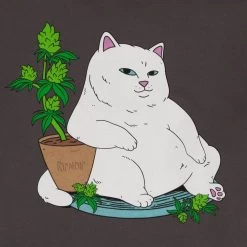 RIPNDIP Flower Boy Hoodie (Charcoal) -Urban Fashion Shop IMG 2956