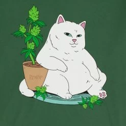 RIPNDIP Flower Boy Tee (Olive) 5 RIPNDIP Flower Boy Tee (Olive) -Urban Fashion Shop IMG 3935