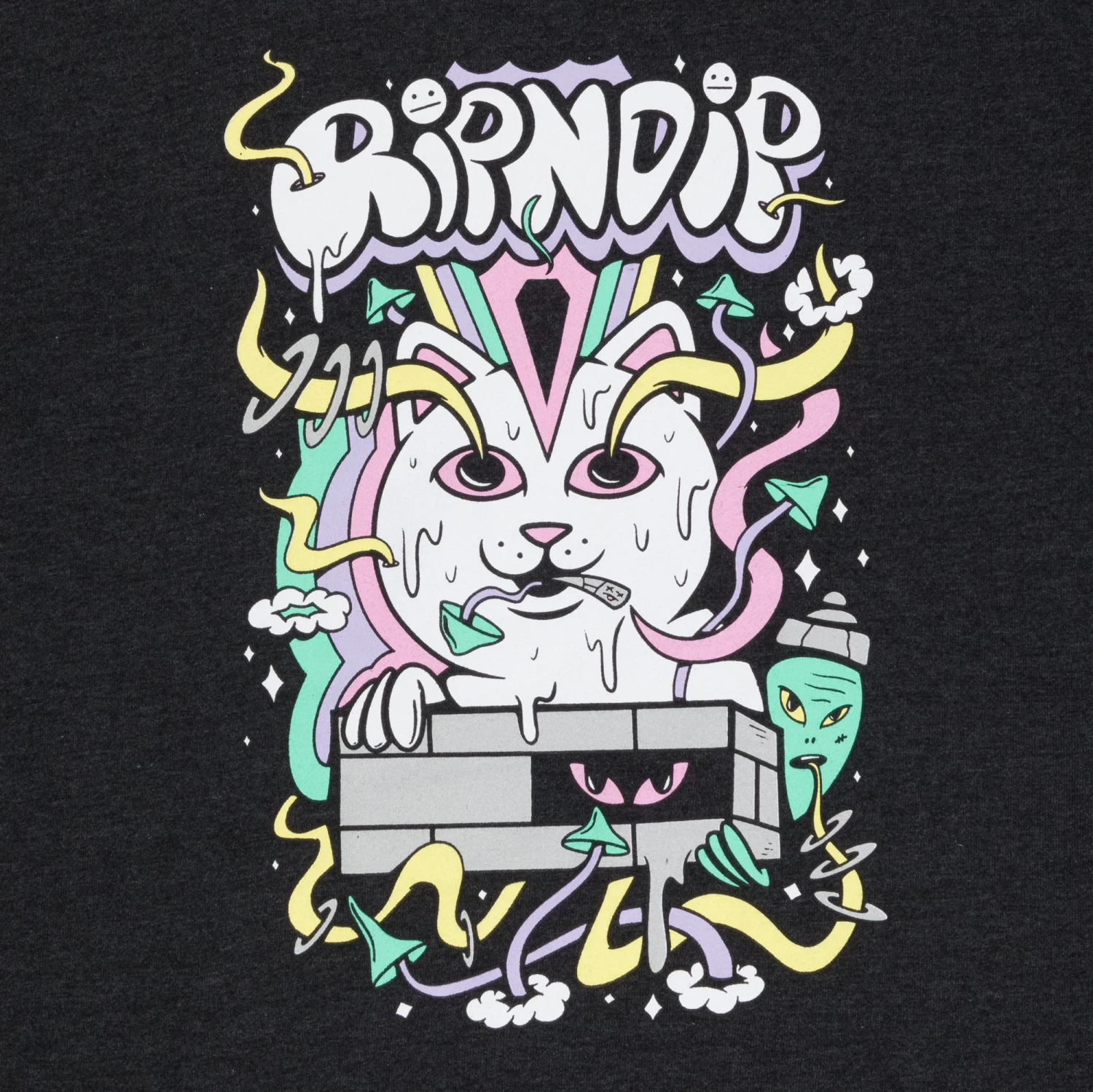 RIPNDIP Santiago Hoodie (Charcoal) 5 RIPNDIP Santiago Hoodie (Charcoal) - Image 5