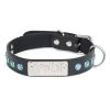 RIPNDIP Lord Nermal Studded Pet Collar (Black)