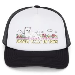RIPNDIP My Neighborhood Trucker Hat (Black) -Urban Fashion Shop IMG 8791