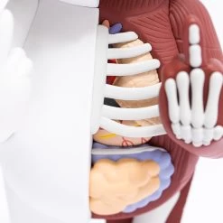 RIPNDIP Lord Nermal Vinyl Figure 10 RIPNDIP Lord Nermal Vinyl Figure -Urban Fashion Shop anatomy 0001 RIPNDIP TOY 10