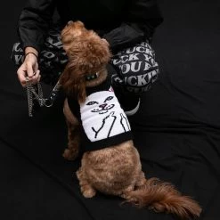 RIPNDIP Lord Nermal Pet Knit Sweater Vest (Black) -Urban Fashion Shop petsweater 0000 027A0982