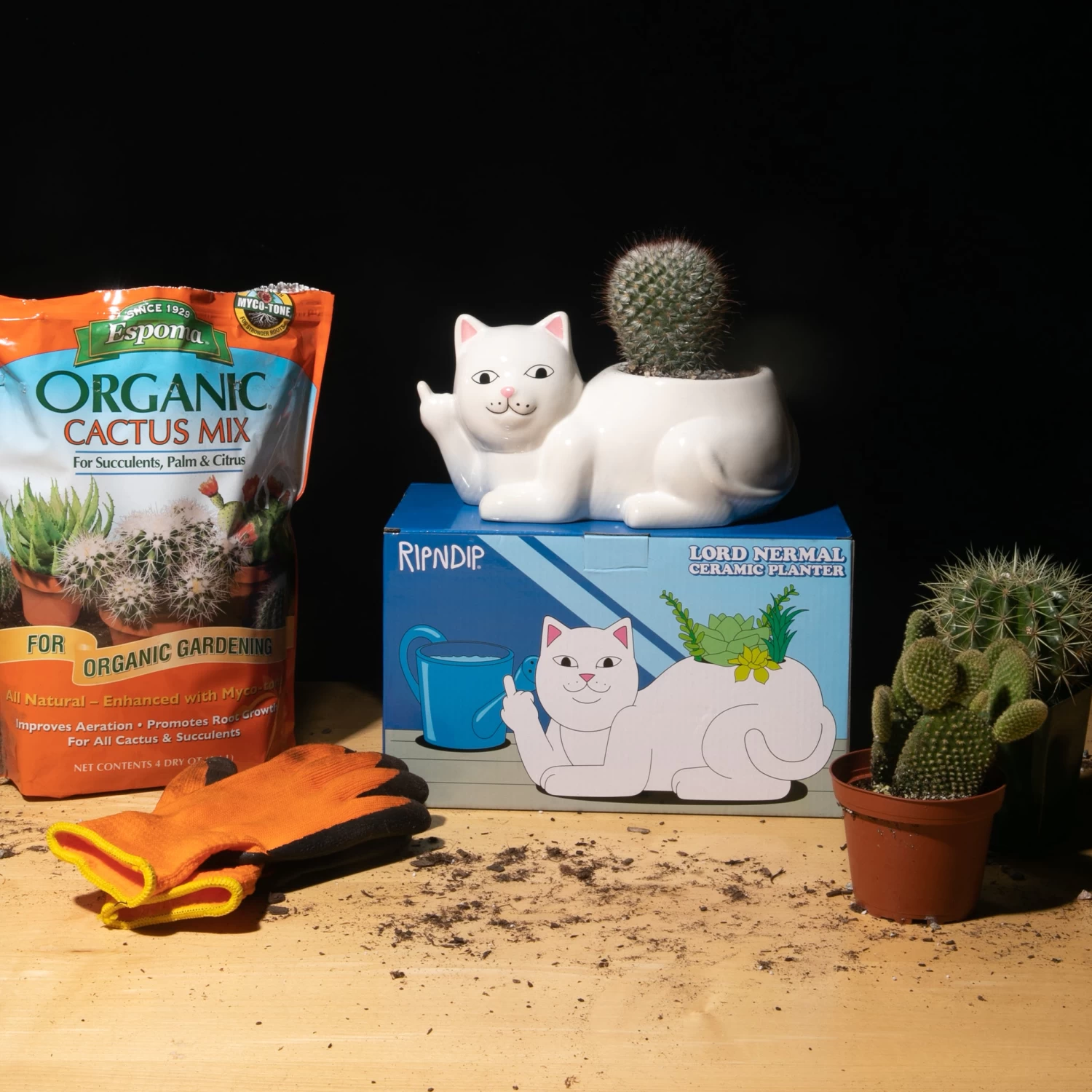 RIPNDIP Lord Nermal Ceramic Planter (White) 2 RIPNDIP Lord Nermal Ceramic Planter (White) - Image 2